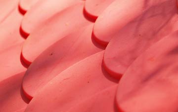 Blackness plastic roof costs