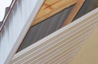 rated Blackness soffit repair companies